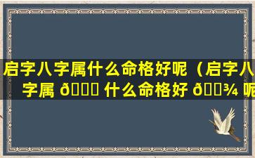 启字八字属什么命格好呢（启字八字属 🐋 什么命格好 🌾 呢女孩）